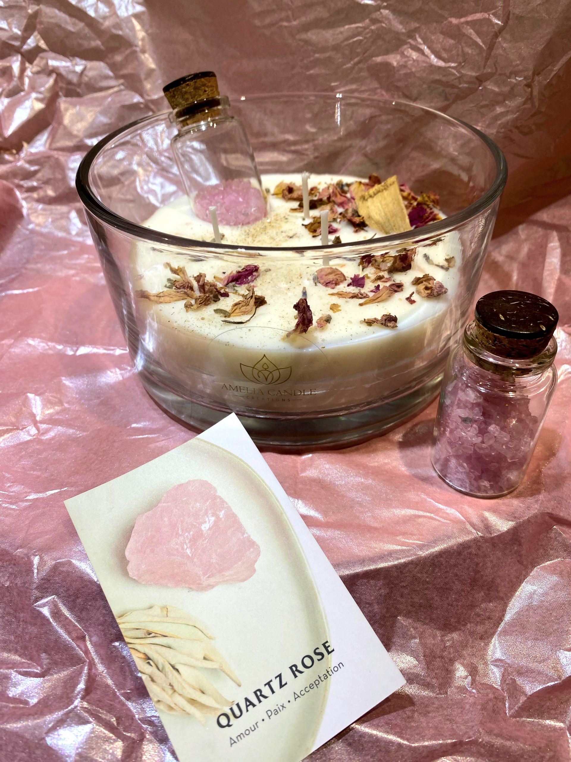 Zoom sur la « Universe Collection »